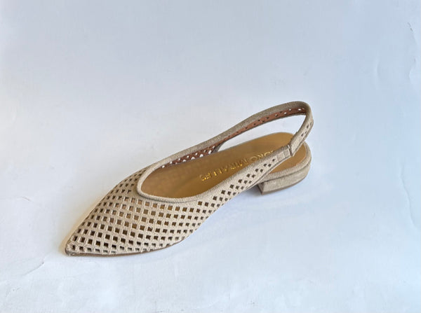 Zapato plano