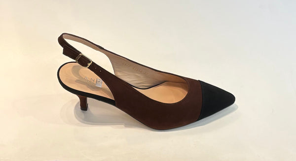 Zapato de salón