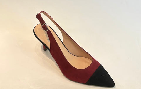 Zapato de salon
