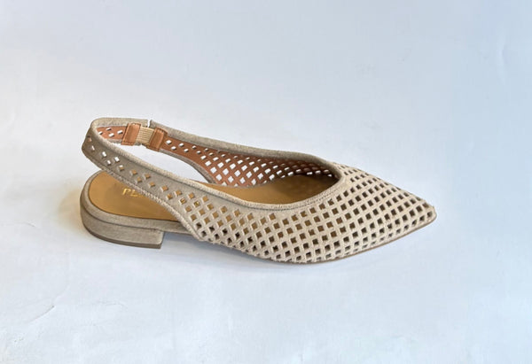 Zapato plano
