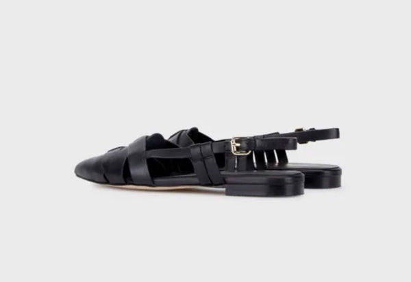 Zapato plano