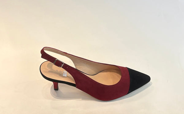 Zapato de salon