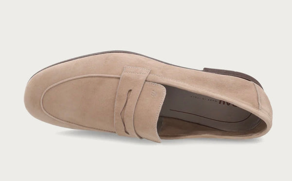 Zapato de Hombre